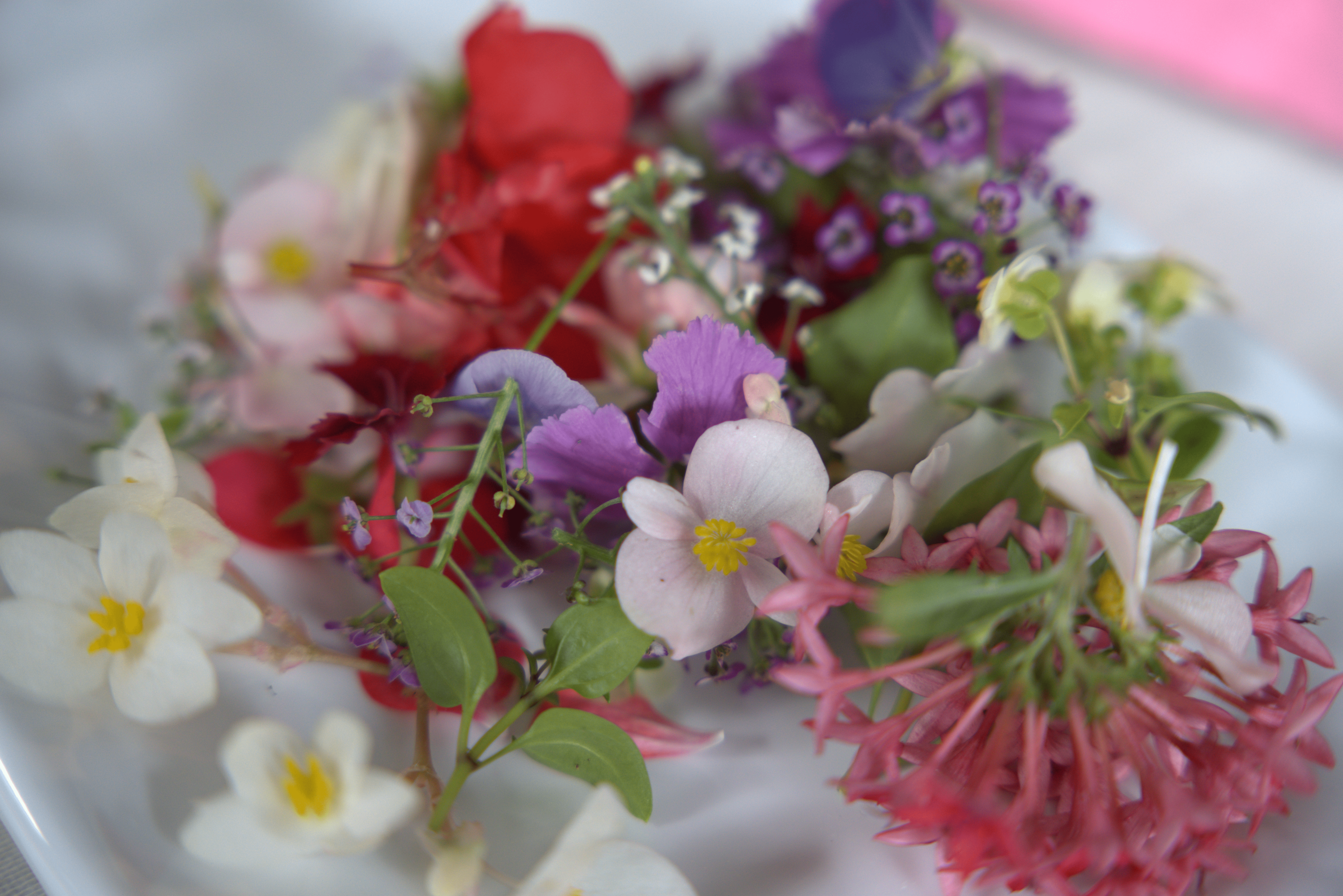 FloW Studio - Pilates Reformer Room